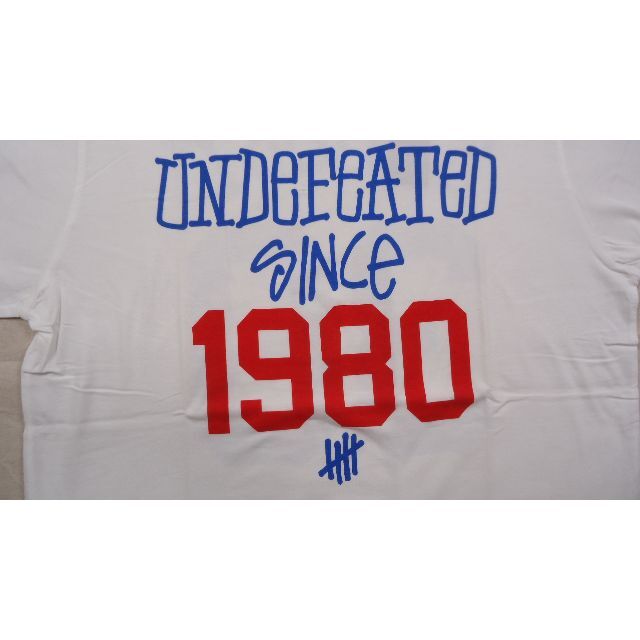 Stussy 30th Anniversary Undefeated T 白 X 2