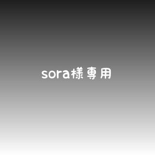 sora様専用(外出用品)