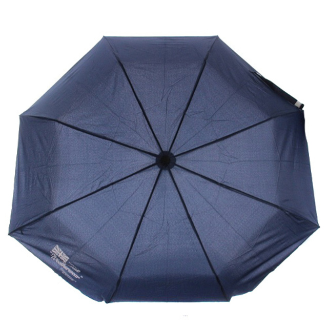トラディショナルウェザーウェア 折り畳み傘 ロゴ 紺