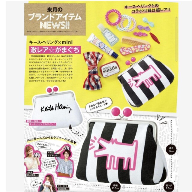 KEITH HARING(キースヘリング)の163 mini 9月号 付録 レディースのファッション小物(ポーチ)の商品写真