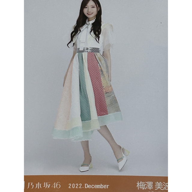 乃木坂46(ノギザカフォーティーシックス)の乃木坂46生写真 2022.December 梅澤美波 3枚フルコンプセット エンタメ/ホビーのタレントグッズ(アイドルグッズ)の商品写真