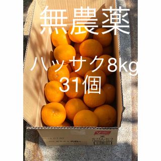 八朔ハッサク 無農薬 8kg (フルーツ)