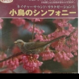 小鳥のシンフォニー　CD(ヒーリング/ニューエイジ)