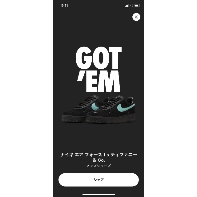 新品　Tiffany×NIKE ティファニー　エアフォース1 27cm