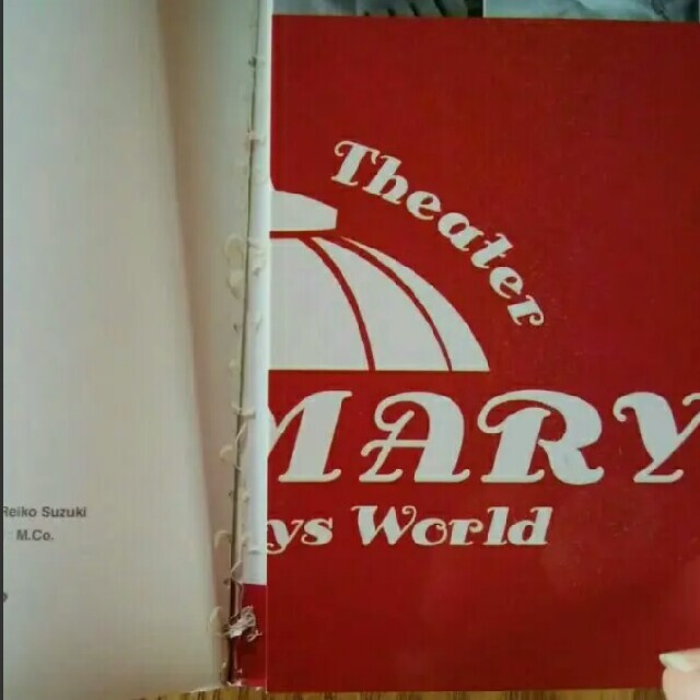 Johnny's(ジャニーズ)のサマリー　パンフレット　2004　SUMMARY エンタメ/ホビーのタレントグッズ(アイドルグッズ)の商品写真
