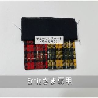 📦3/18◎Ernieさま専用◎(その他)