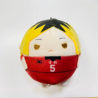 ハイキュー 孤爪研磨 ぬいぐるみ(キャラクターグッズ)