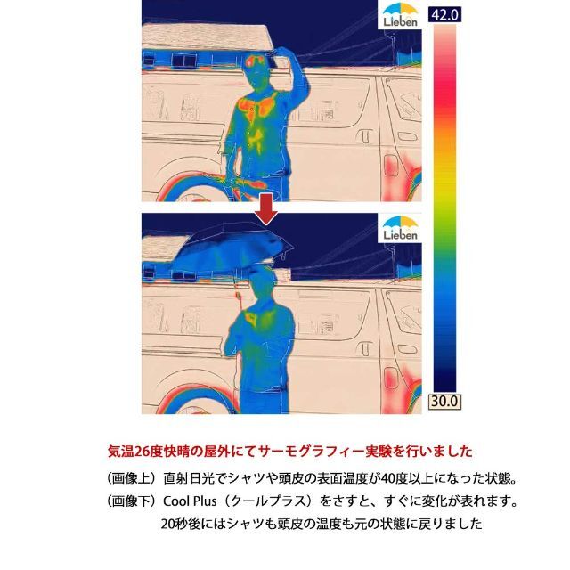 【色: ボーダー】リーベン 日傘 晴雨兼用 レディース 折りたたみ傘 紫外線遮蔽