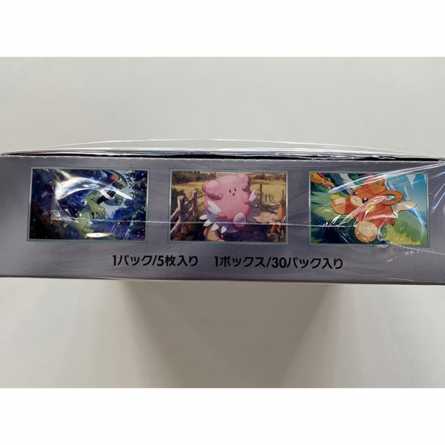 ポケモンカードゲーム スカーレット＆バイオレット 拡張パック バイオレットex( エンタメ/ホビーのトレーディングカード(Box/デッキ/パック)の商品写真