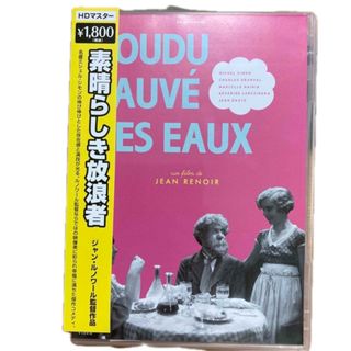 素晴らしき放浪者🇫🇷ジャンルノワール📽️Boudu sauvé des eaux(外国映画)