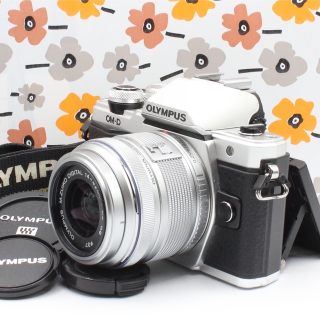 傷擦れ極小の極上美品❣️OLYMPUS OM-D E-M10 mark iiカメラ