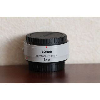 キヤノン(Canon)のキヤノンエクステンダーEF1.4×Ⅲ(その他)