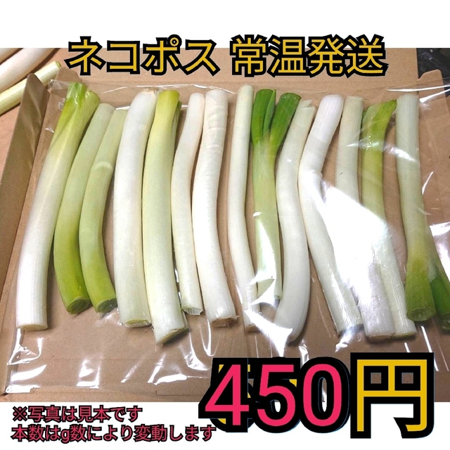 お値下げ✳️ワンコインです白ネギＢ品(曲がり、太さ混合) 食品/飲料/酒の食品(野菜)の商品写真