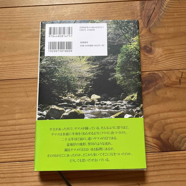 ヤマメの魔法 エンタメ/ホビーの本(文学/小説)の商品写真