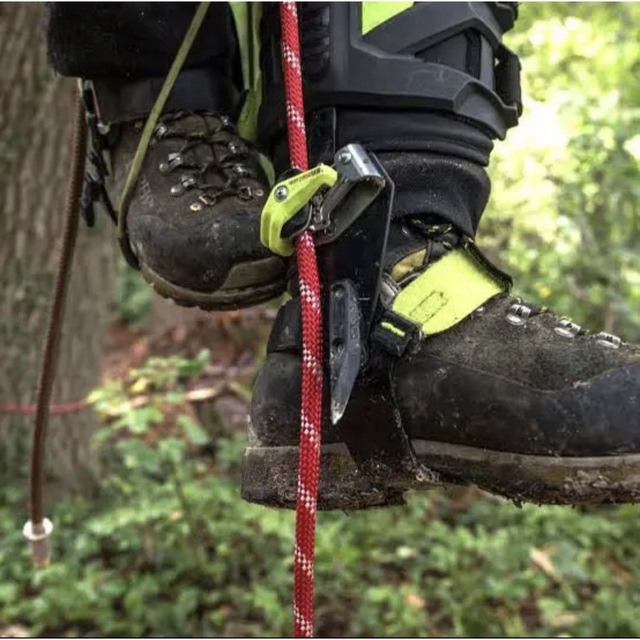 EDELRID Talonスパイク ショートガフ装着 アーボリスト 造園-