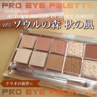 クリオ(CLIO)のクリオ アイシャドウパレット 12(その他)