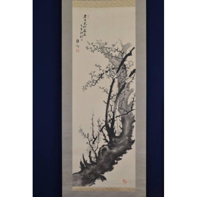 俊斎 老梅図 掛軸☆宝船☆AB-351
