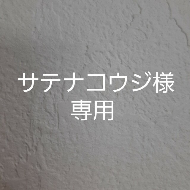 エンタメ/ホビーポケモンカードゲームDP 映画10周年記念 プレミアムシート