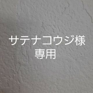 ポケモン(ポケモン)のポケモンカードゲームDP 映画10周年記念 プレミアムシート(その他)