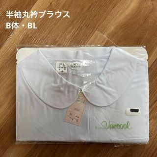 ブラウス　ヴァンクール　vancool　丸襟　B体・BL　半袖(シャツ/ブラウス(半袖/袖なし))