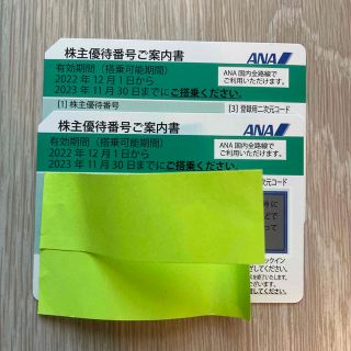 エーエヌエー(ゼンニッポンクウユ)(ANA(全日本空輸))のANA株主優待 有効期限:2023/11/30【2枚セット】(その他)