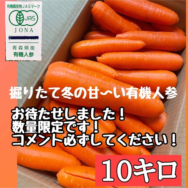 有機JAS認定農家直送オーガニック人参10キロ送料無料 食品/飲料/酒の食品(野菜)の商品写真