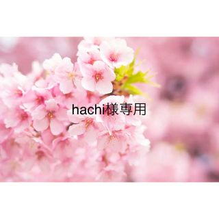 hachi様専用(トートバッグ)