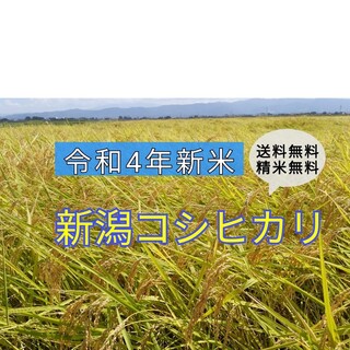 福笑い様専用　コシヒカリ90kg(米/穀物)
