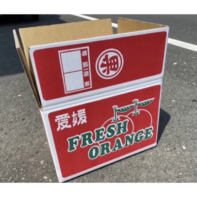 愛媛県産　ブラッドオレンジ　柑橘　小玉　タロッコ　15kg 食品/飲料/酒の食品(フルーツ)の商品写真