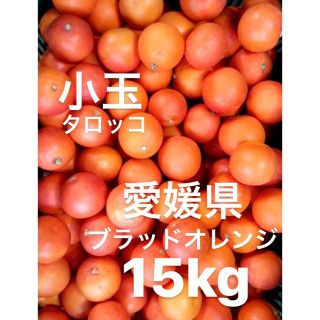 愛媛県産　ブラッドオレンジ　柑橘　小玉　タロッコ　15kg(フルーツ)