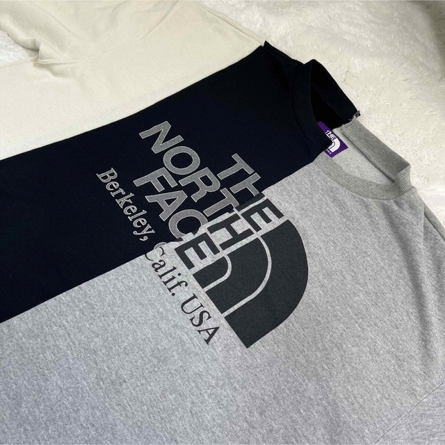 THE NORTH FACE PURPLE LABEL × ナナミカ アシメ L オンライン