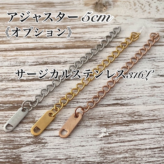 ＊リップチェーン＊ステンレスネックレス/サージカルステンレス316L/ レディースのアクセサリー(ネックレス)の商品写真