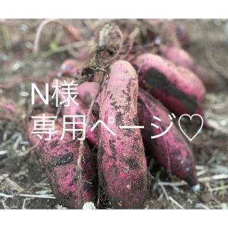 N様専用ページ⭐︎紅はるか(乾物)