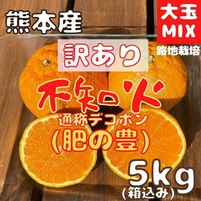 不知火 訳あり 大玉MIX5kg(デコポン) 食品/飲料/酒の食品(フルーツ)の商品写真