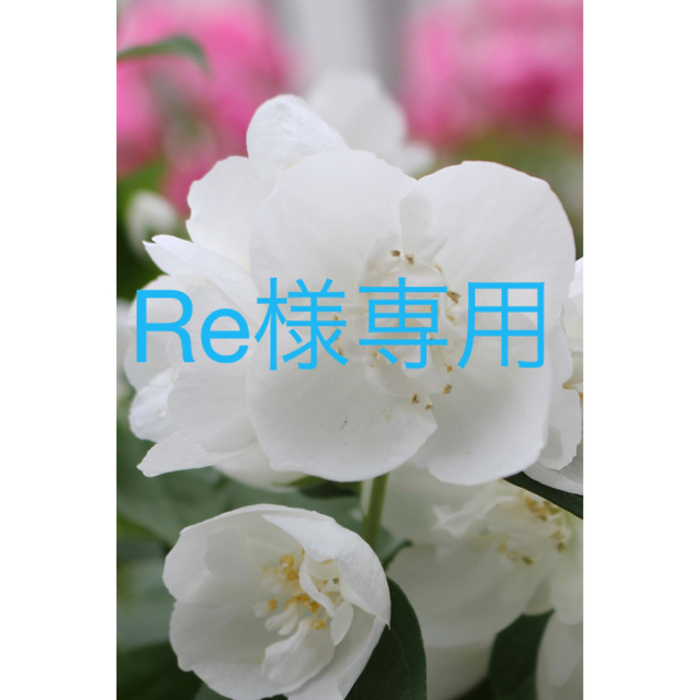 Re様専用ページです 【今日の超目玉】 stockshoes.co