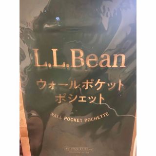  L.L.Bean ウォールポケットポシェットMart マート2022年春号付録(ショルダーバッグ)