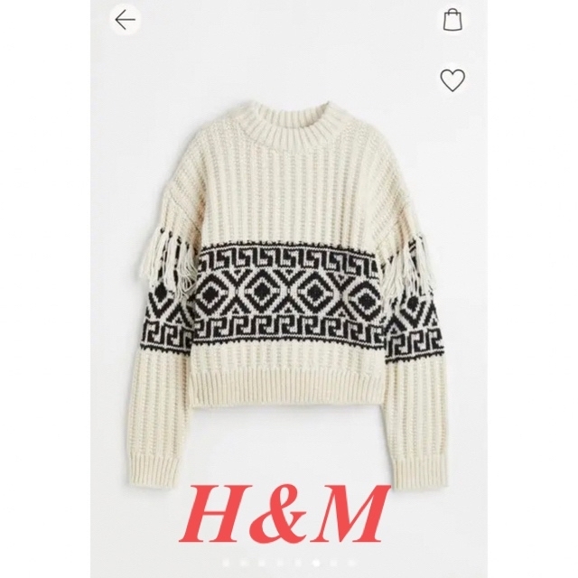 H&M(エイチアンドエム)のH&M フリンジトリムセーター レディースのトップス(ニット/セーター)の商品写真