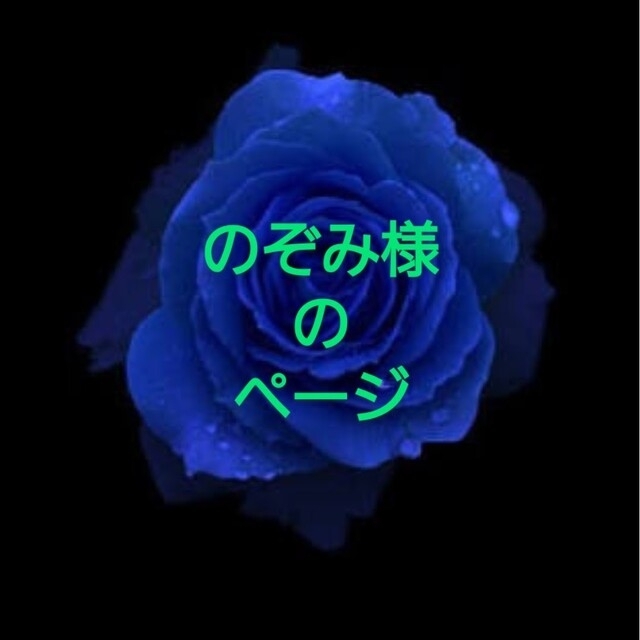 のぞみ様のページ | フリマアプリ ラクマ