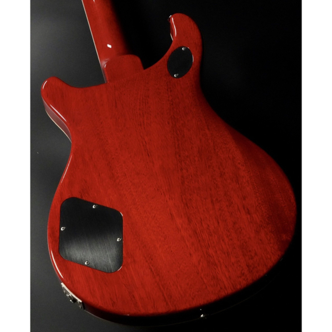 Ken様専用　Paul Reed Smith McCarty594  2022  楽器のギター(エレキギター)の商品写真