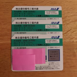 エーエヌエー(ゼンニッポンクウユ)(ANA(全日本空輸))のANA 株主優待券　３枚(その他)