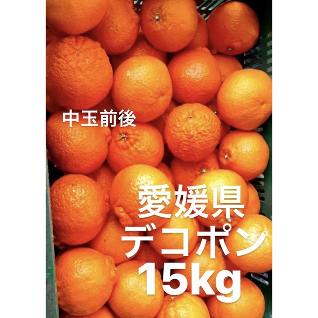 愛媛県　デコポン　柑橘　15kg 食品/飲料/酒の食品(フルーツ)の商品写真