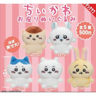 ちいかわ お座りぬいぐるみ コンプリート 5種セット おすわりぬいぐるみ(キャラクターグッズ)