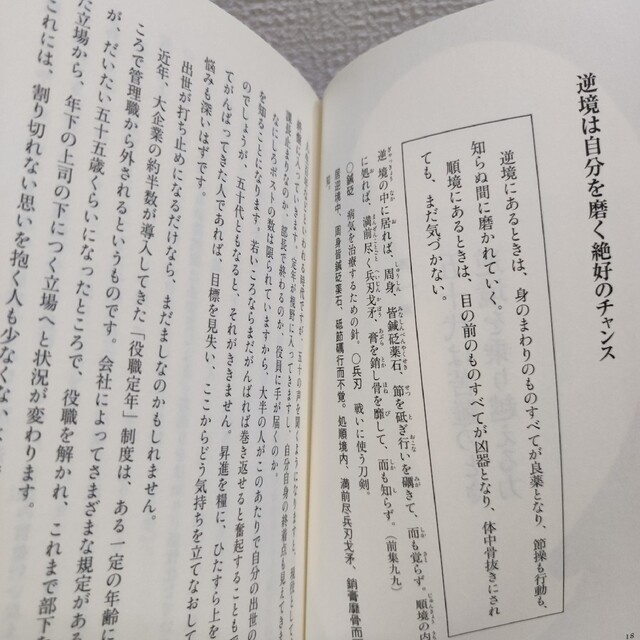 小学館(ショウガクカン)の『 ピンチこそチャンス / 菜根譚に学ぶ 心を軽くする知恵 』 ◆ 守屋洋 / エンタメ/ホビーの本(ノンフィクション/教養)の商品写真