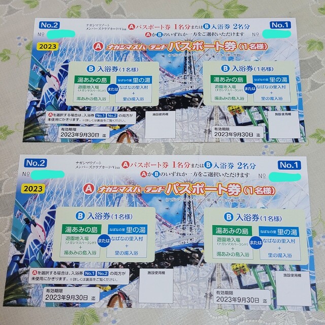 ナガシマスパーランド☆パスポート券 2枚 www.krzysztofbialy.com