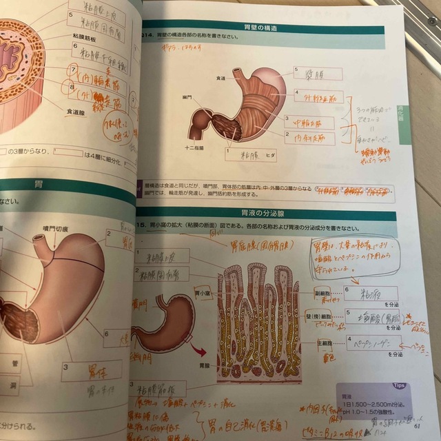 管理栄養士 薬剤師 教科書 1冊500円〜-