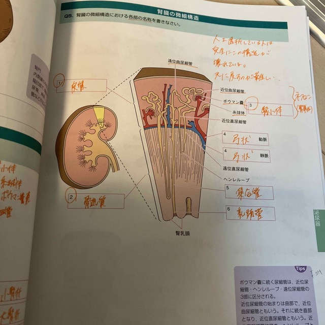 管理栄養士 薬剤師 教科書 1冊500円〜-