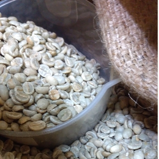 コーヒー生豆、800グラム(コーヒー)