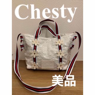 チェスティ(Chesty)のChesty（チェスティ）　2wayバッグ　美品(ショルダーバッグ)