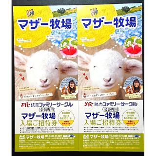 ふう様専用★ネコポス発送★マザー牧場入場 ご招待券4枚  6月30日(金)まで★(動物園)