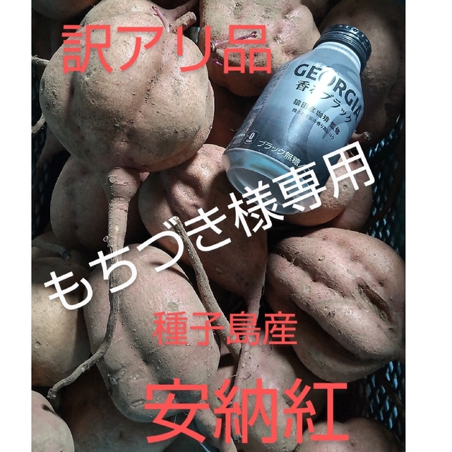 もちづき様専用 食品/飲料/酒の食品(野菜)の商品写真